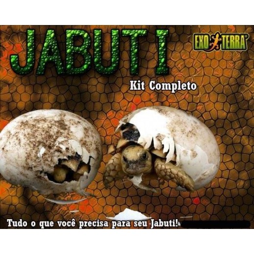 Kit Jabuti Completo Répteis | Terrário