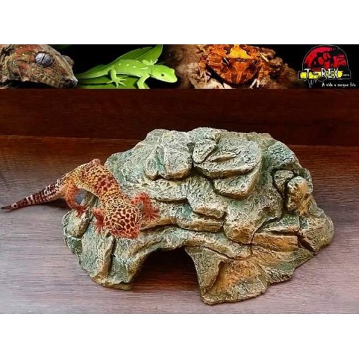 Toca Média para Répteis TM-01 Terrário | Pogona | Gecko