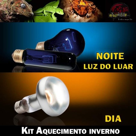 Lâmpada para aquecer répteis jabuti